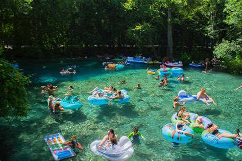 Ginnie springs fl - Ginnie Springs – 85 miles. Ginnie Springs, Florida. Photo by: Kevin Eddy. Ginnie Springs offers all kinds of fun in and out of the water and is just ten minutes away from Gilchrist Blue, though it’s privately owned. The park rents gear for water sports like tubing, paddleboarding, kayaking, and scuba diving.